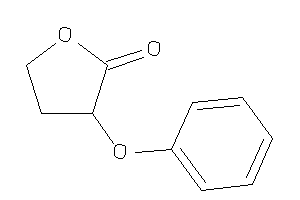 Image of 3-phenoxytetrahydrofuran-2-one