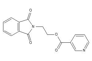 Nicotin 2-phthalimidoethyl Ester