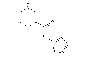 N-(2-thienyl)nipecotamide