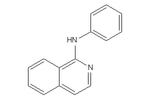 1-isoquinolyl(phenyl)amine