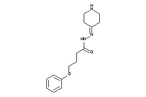 4-phenoxy-N-(4-piperidylideneamino)butyramide