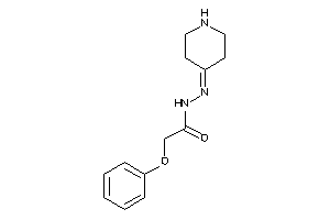 2-phenoxy-N-(4-piperidylideneamino)acetamide