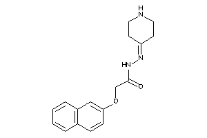 2-(2-naphthoxy)-N-(4-piperidylideneamino)acetamide