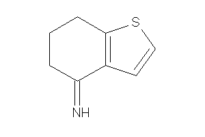 Image of 6,7-dihydro-5H-benzothiophen-4-ylideneamine