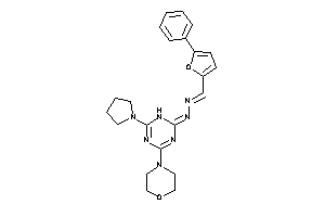 (4-morpholino-6-pyrrolidino-1H-s-triazin-2-ylidene)-[(5-phenyl-2-furyl)methyleneamino]amine