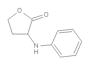 3-anilinotetrahydrofuran-2-one