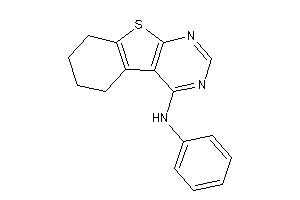 Phenyl(5,6,7,8-tetrahydrobenzothiopheno[2,3-d]pyrimidin-4-yl)amine