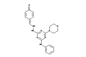 Image of 4-[[N'-(4-anilino-6-morpholino-s-triazin-2-yl)hydrazino]methylene]cyclohexa-2,5-dien-1-one