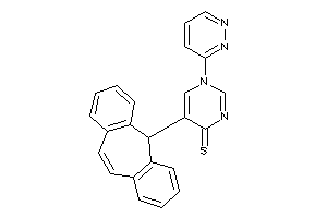 1-pyridazin-3-yl-5-BLAHyl-pyrimidine-4-thione