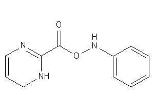 1,6-dihydropyrimidine-2-carboxylic Acid Anilino Ester