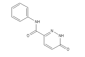 Image of 6-keto-N-phenyl-1H-pyridazine-3-carboxamide