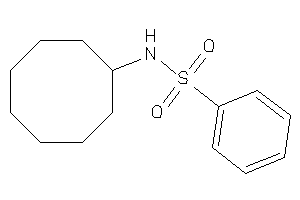 N-cyclooctylbenzenesulfonamide