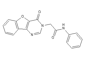 2-(4-ketobenzofuro[3,2-d]pyrimidin-3-yl)-N-phenyl-acetamide