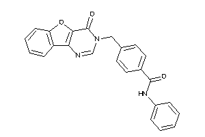 4-[(4-ketobenzofuro[3,2-d]pyrimidin-3-yl)methyl]-N-phenyl-benzamide