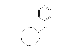 Cyclooctyl(4-pyridyl)amine