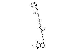 Image of 6-[5-(2-keto-1,3,3a,4,6,6a-hexahydrothieno[3,4-d]imidazol-4-yl)pentanoylamino]hexanoic Acid Phenyl Ester