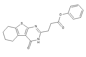 3-(4-keto-5,6,7,8-tetrahydro-3H-benzothiopheno[2,3-d]pyrimidin-2-yl)propionic Acid Phenyl Ester