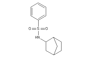 N-(2-norbornyl)benzenesulfonamide