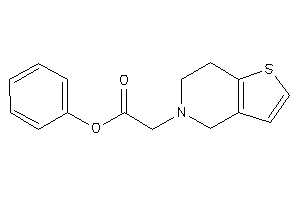 2-(6,7-dihydro-4H-thieno[3,2-c]pyridin-5-yl)acetic Acid Phenyl Ester