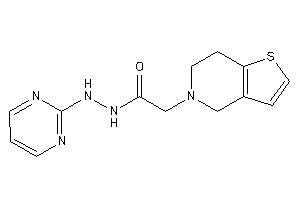 2-(6,7-dihydro-4H-thieno[3,2-c]pyridin-5-yl)-N'-(2-pyrimidyl)acetohydrazide