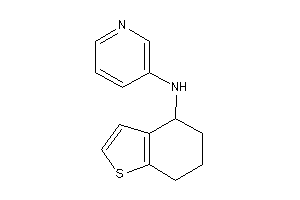 Image of 3-pyridyl(4,5,6,7-tetrahydrobenzothiophen-4-yl)amine