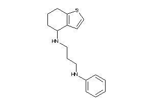 3-anilinopropyl(4,5,6,7-tetrahydrobenzothiophen-4-yl)amine