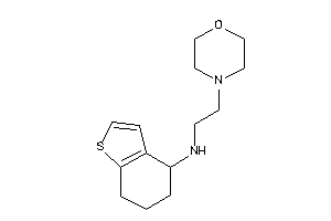 2-morpholinoethyl(4,5,6,7-tetrahydrobenzothiophen-4-yl)amine