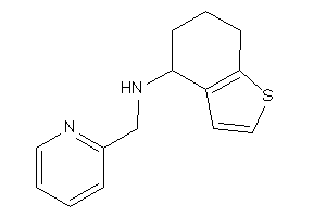 Image of 2-pyridylmethyl(4,5,6,7-tetrahydrobenzothiophen-4-yl)amine
