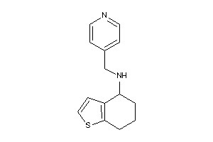 Image of 4-pyridylmethyl(4,5,6,7-tetrahydrobenzothiophen-4-yl)amine
