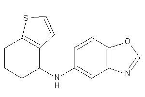 1,3-benzoxazol-5-yl(4,5,6,7-tetrahydrobenzothiophen-4-yl)amine