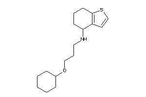 3-(cyclohexoxy)propyl-(4,5,6,7-tetrahydrobenzothiophen-4-yl)amine