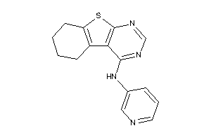 3-pyridyl(5,6,7,8-tetrahydrobenzothiopheno[2,3-d]pyrimidin-4-yl)amine