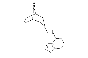 8-azabicyclo[3.2.1]octan-3-ylmethyl(4,5,6,7-tetrahydrobenzothiophen-4-yl)amine