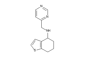 Image of 4-pyrimidylmethyl(4,5,6,7-tetrahydrobenzothiophen-4-yl)amine