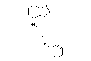 3-phenoxypropyl(4,5,6,7-tetrahydrobenzothiophen-4-yl)amine