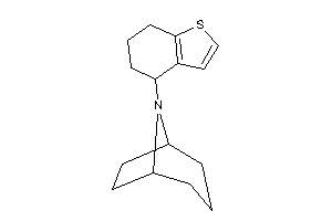 8-(4,5,6,7-tetrahydrobenzothiophen-4-yl)-8-azabicyclo[3.2.1]octane