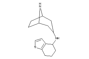 8-azabicyclo[3.2.1]octan-3-yl(4,5,6,7-tetrahydrobenzothiophen-4-yl)amine