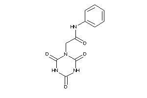 N-phenyl-2-(2,4,6-triketo-1,3,5-triazinan-1-yl)acetamide