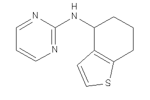 Image of 2-pyrimidyl(4,5,6,7-tetrahydrobenzothiophen-4-yl)amine