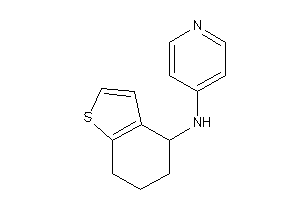 Image of 4-pyridyl(4,5,6,7-tetrahydrobenzothiophen-4-yl)amine