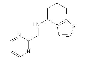 Image of 2-pyrimidylmethyl(4,5,6,7-tetrahydrobenzothiophen-4-yl)amine