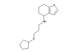 3-(cyclopentoxy)propyl-(4,5,6,7-tetrahydrobenzothiophen-4-yl)amine