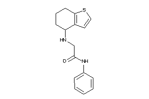 N-phenyl-2-(4,5,6,7-tetrahydrobenzothiophen-4-ylamino)acetamide