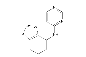 Image of 4-pyrimidyl(4,5,6,7-tetrahydrobenzothiophen-4-yl)amine