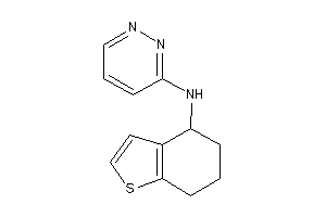 Pyridazin-3-yl(4,5,6,7-tetrahydrobenzothiophen-4-yl)amine