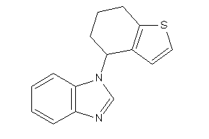 1-(4,5,6,7-tetrahydrobenzothiophen-4-yl)benzimidazole