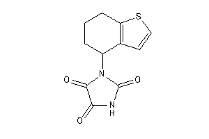 1-(4,5,6,7-tetrahydrobenzothiophen-4-yl)imidazolidine-2,4,5-trione