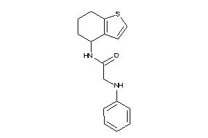 2-anilino-N-(4,5,6,7-tetrahydrobenzothiophen-4-yl)acetamide