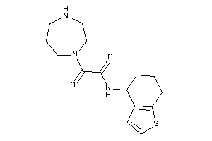 2-(1,4-diazepan-1-yl)-2-keto-N-(4,5,6,7-tetrahydrobenzothiophen-4-yl)acetamide