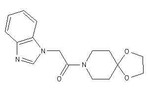 2-(benzimidazol-1-yl)-1-(1,4-dioxa-8-azaspiro[4.5]decan-8-yl)ethanone